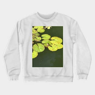 Frog Crewneck Sweatshirt